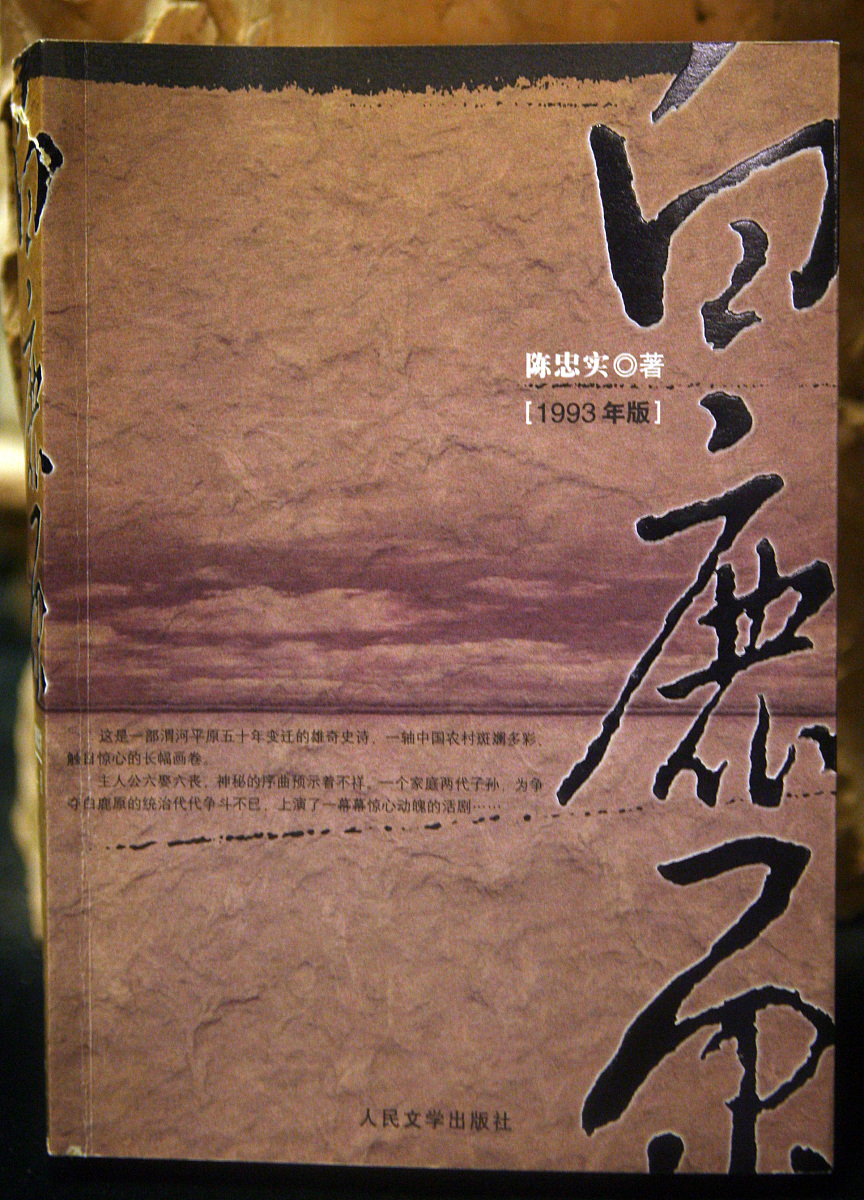 请阅读小说或观看电影《白鹿原》并选择一个具体的视角如某个人物形象、某个反复出现的意象、某个特殊场景、某个主题等对该作品进行解析