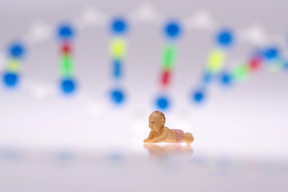 胚胎工程流程详解：从卵子采集到胚胎移植