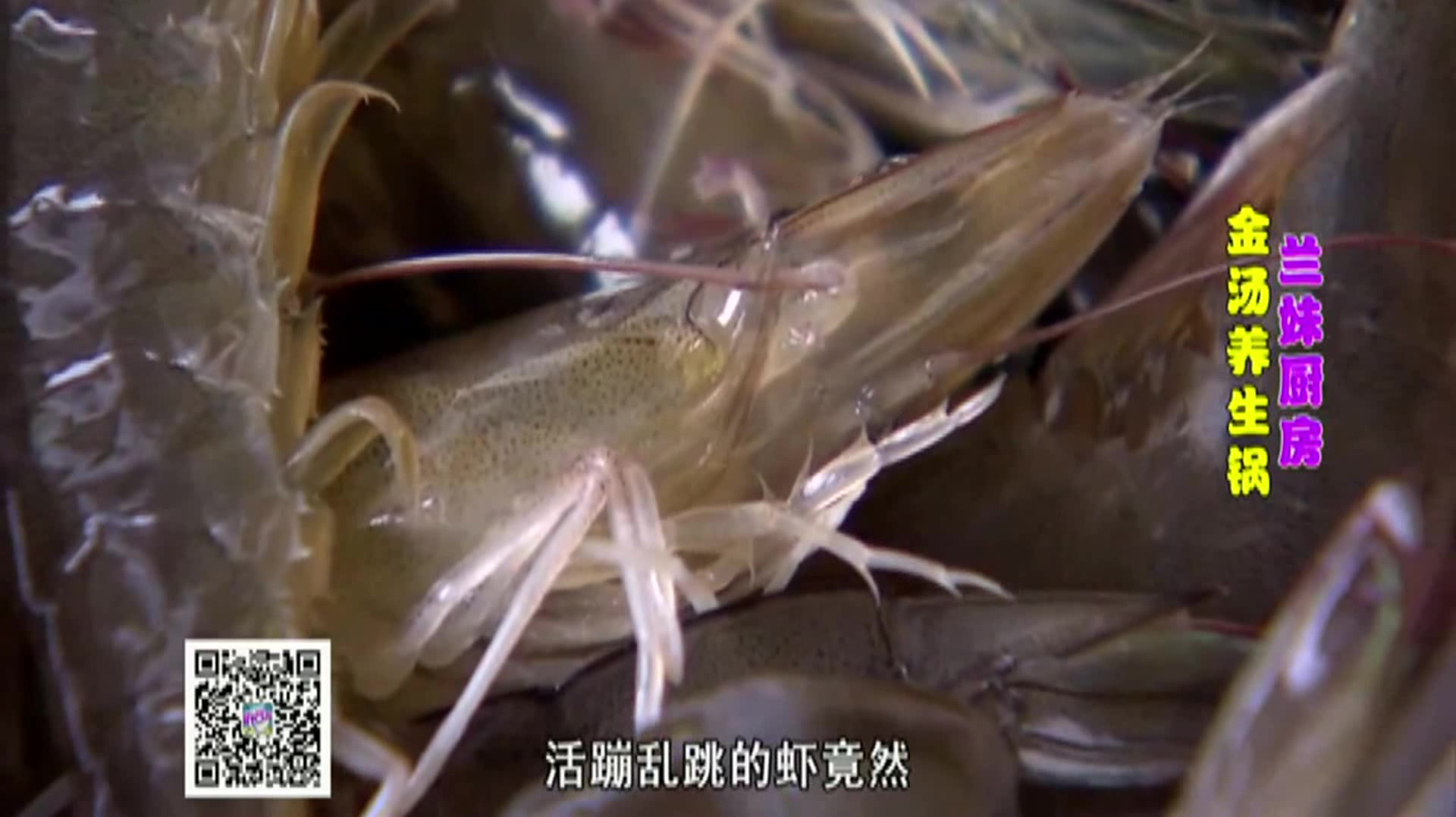 大蓉和金汤养生锅,健康美味不可挡!做法送给你