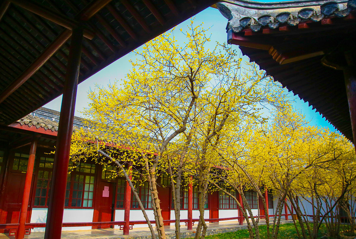 江西师范高等专科学校英语教育专业怎么样？好学吗？