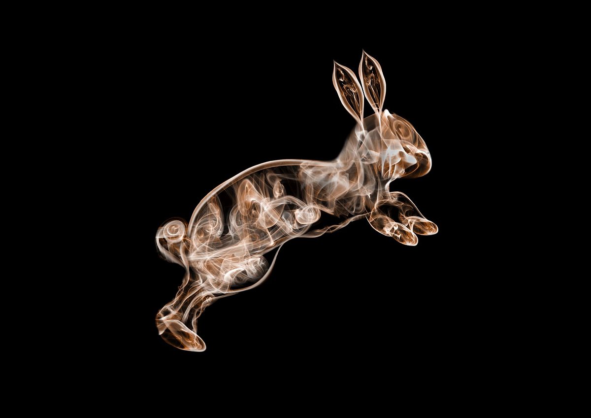 那些奇葩作业：从模型到海报，我的学习经历