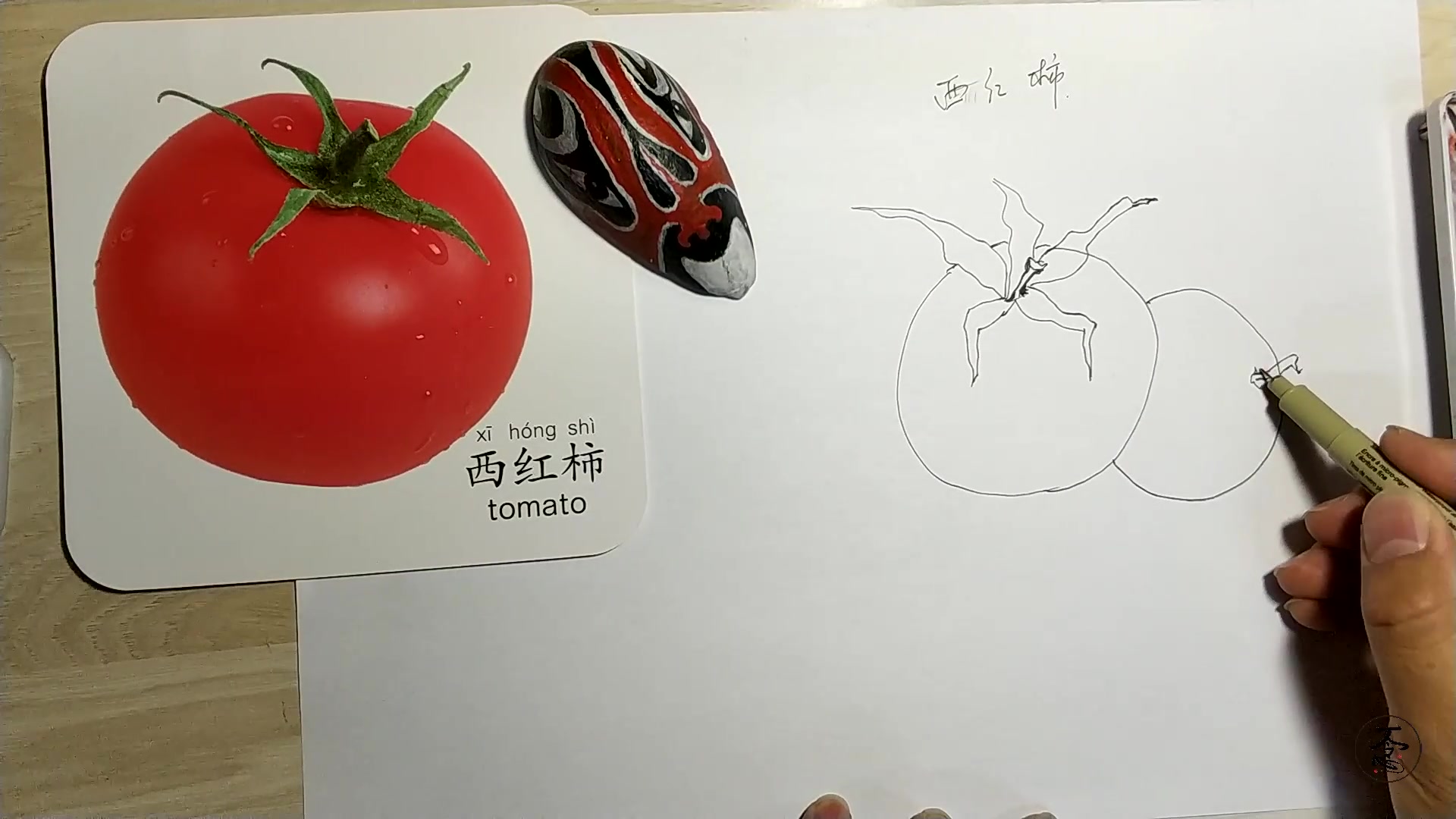 西红柿简笔画基础教程,水彩上色简单好学,适合宝宝