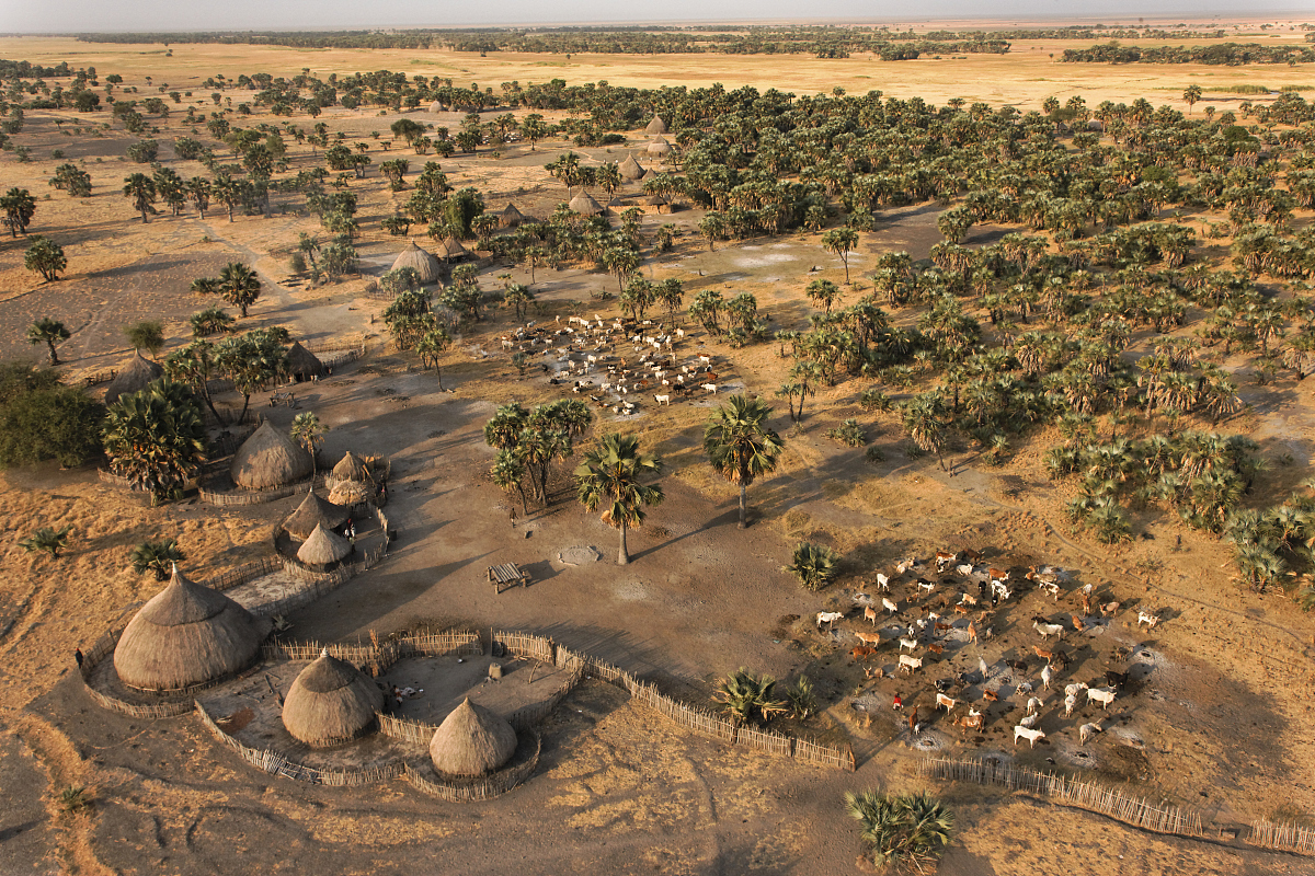 未来荒漠国度：生存与主权的抉择