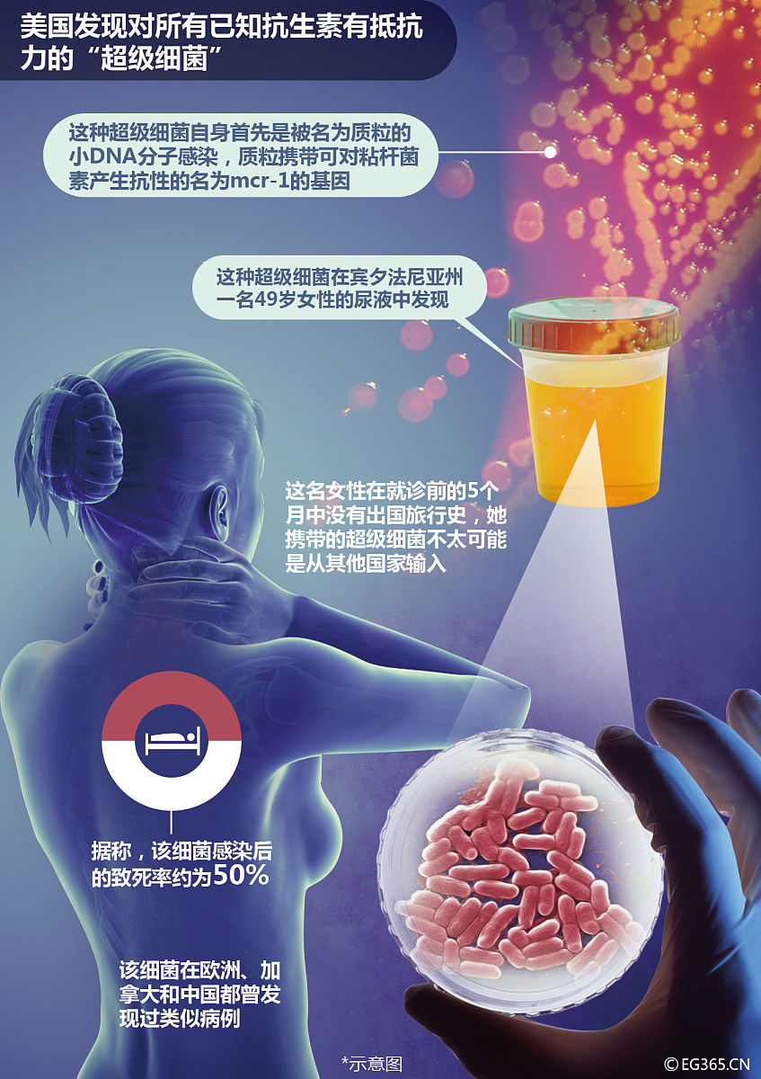 细菌素：天然抗生素的未来？