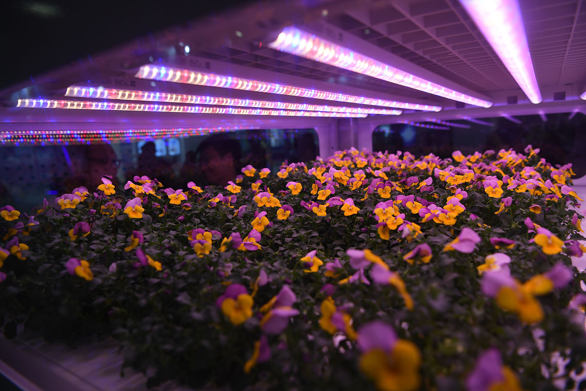 太原理工大学有哪些专业有法学专业吗