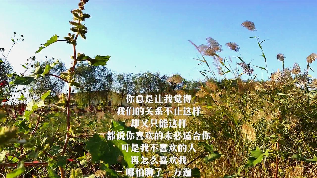 [图]明知爱你是个错误，可我却一错再错，满身伤痕又该何去何从