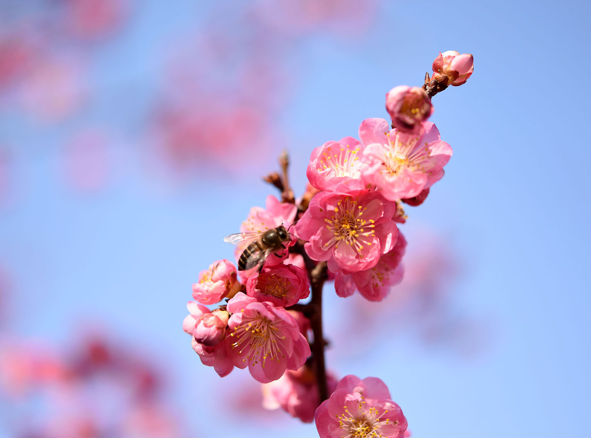 淮南专升本学校有哪些