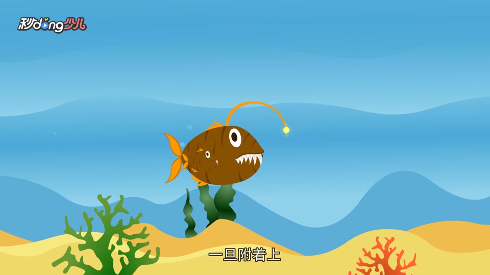 为什么雄性灯笼鱼比雌性要小很多?