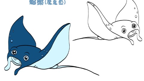 简笔画大全,蝠鲼(魔鬼鱼)