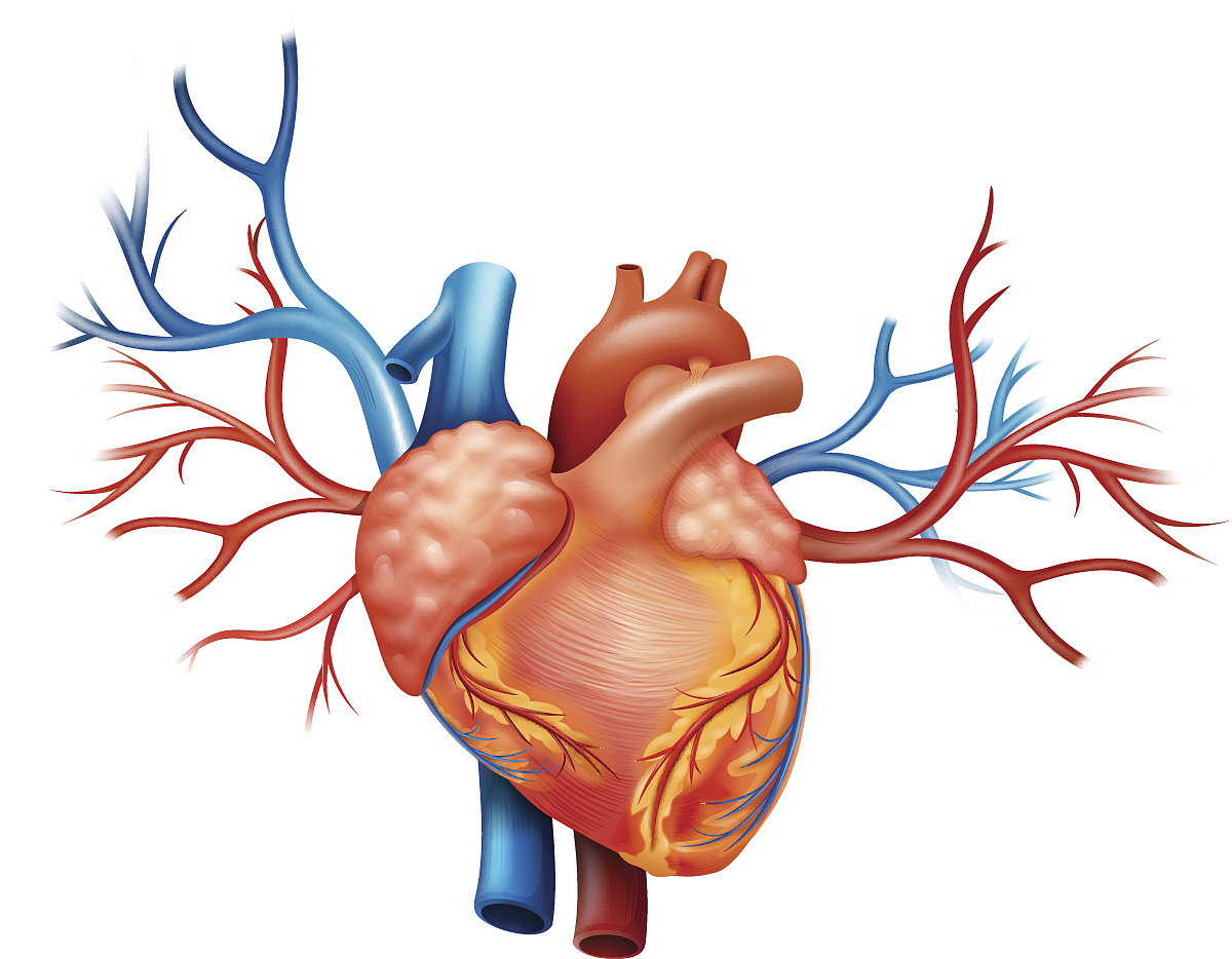 心脏手术中降低室温保护患者心、脑等器官功能的经济、社会效益