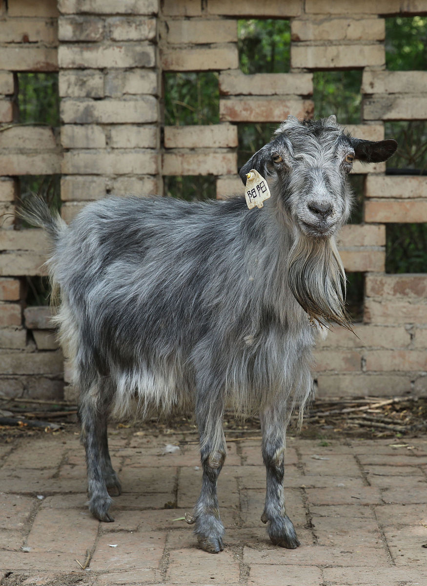 陕西科技技师学院物流管理专业怎么样