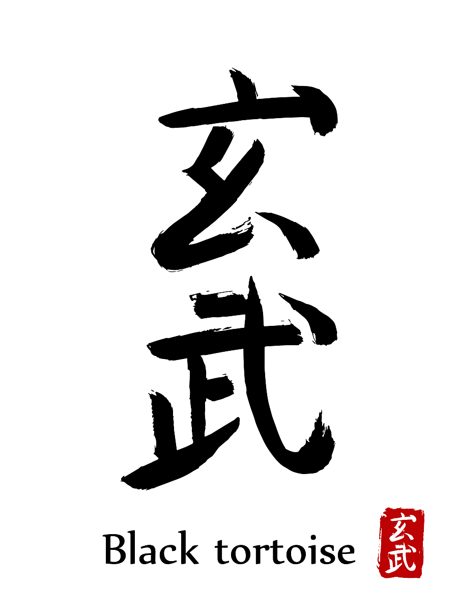 hand drawn hieroglyph translate black tortoise. vector japanese 