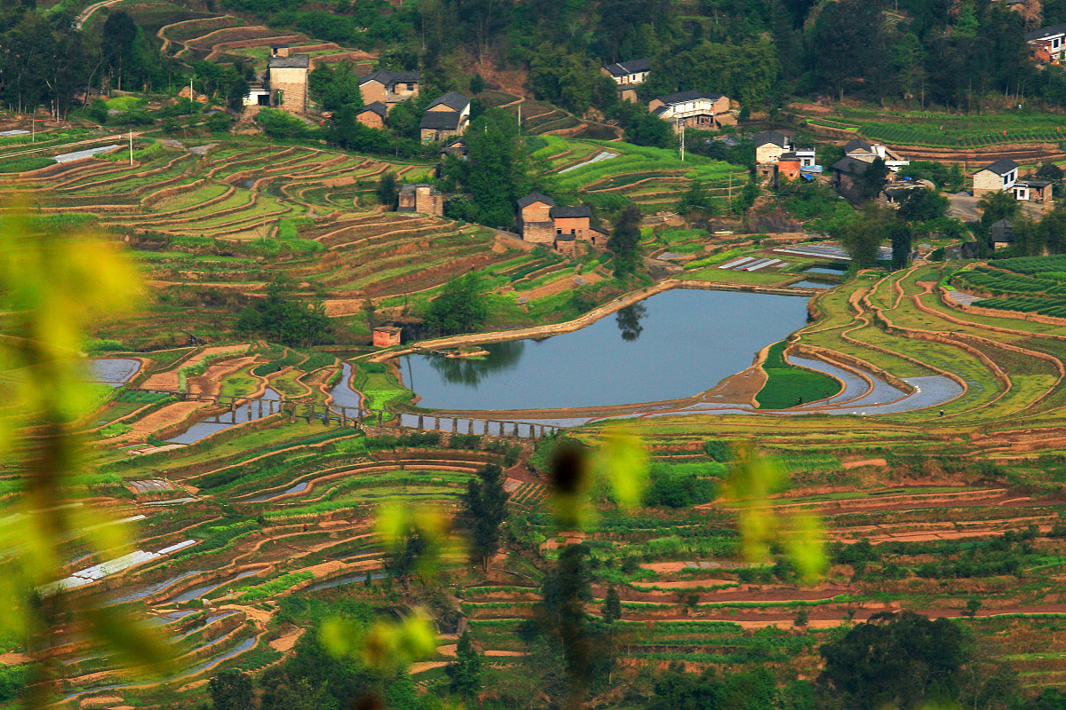 2020上海市农业学校招生简章