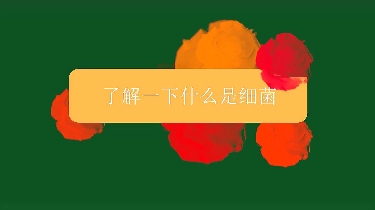 [图]了解一下什么是细菌