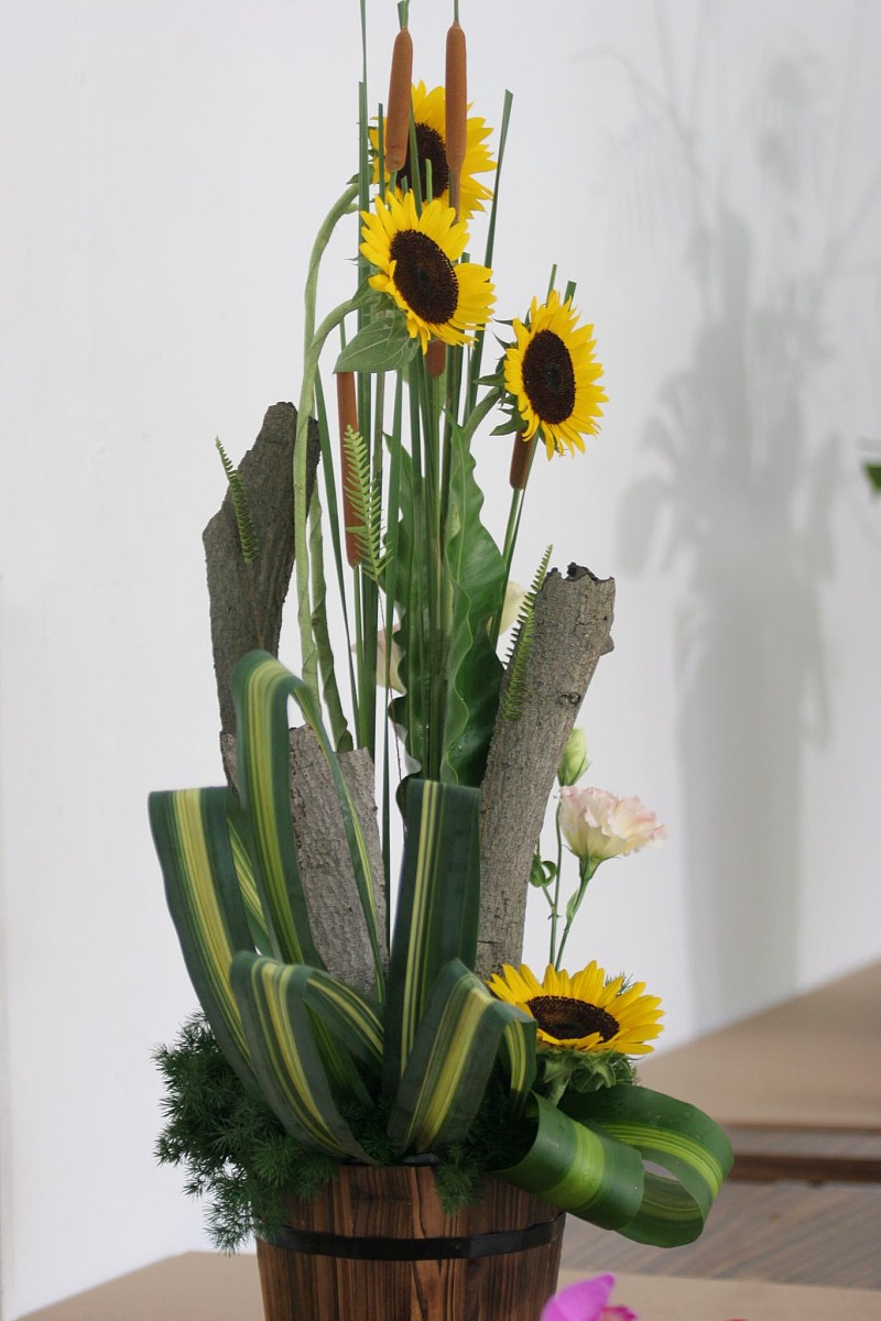 厦门软件职业技术学院单招有高铁乘务专业吗