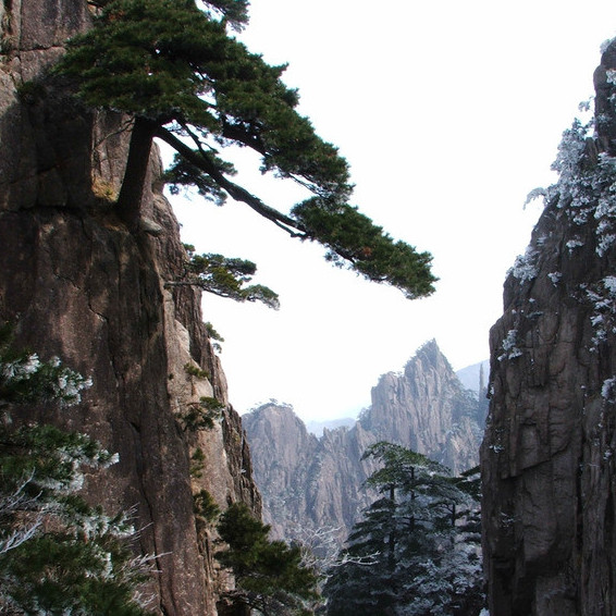 左撇子磊哥美食