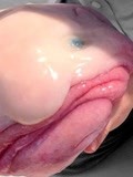 不曾见过的5种怪异海洋生物!世界上最丑陋的动物!