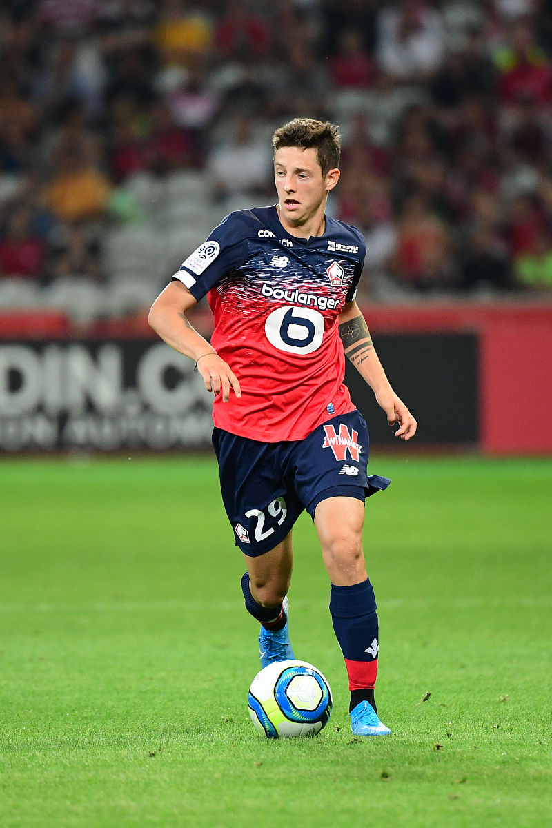 domagoj bradaric of lille during the ligue 1 match between lille