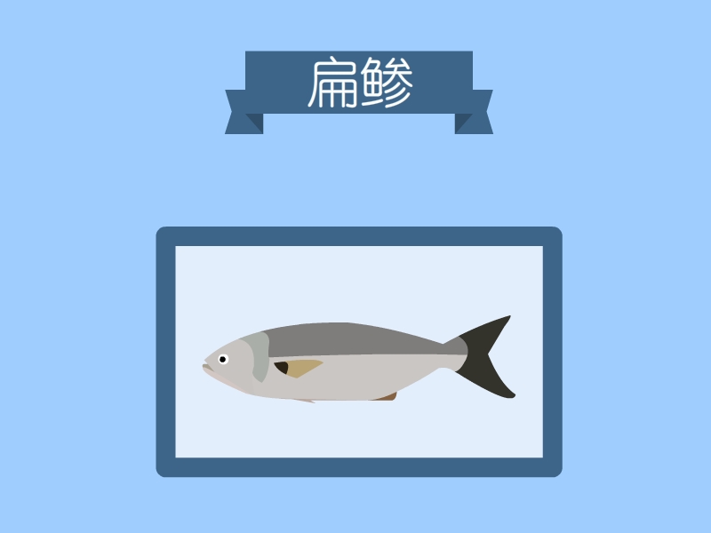 扁鲹:又名蓝鱼或蓝鯥,是一种非常受欢迎的游钓鱼