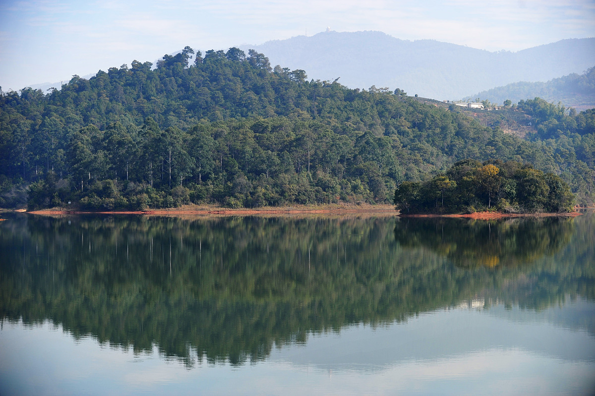 河南省林业学校热门专业：林学专业详解