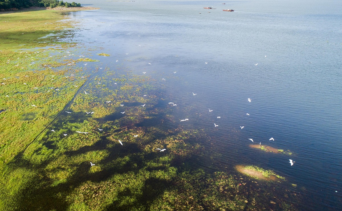 描述一下江西鄱阳县