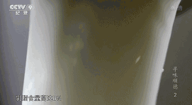 《舌尖3》雖然撲街了，但原班人馬打造的這部美食片值得五星推薦