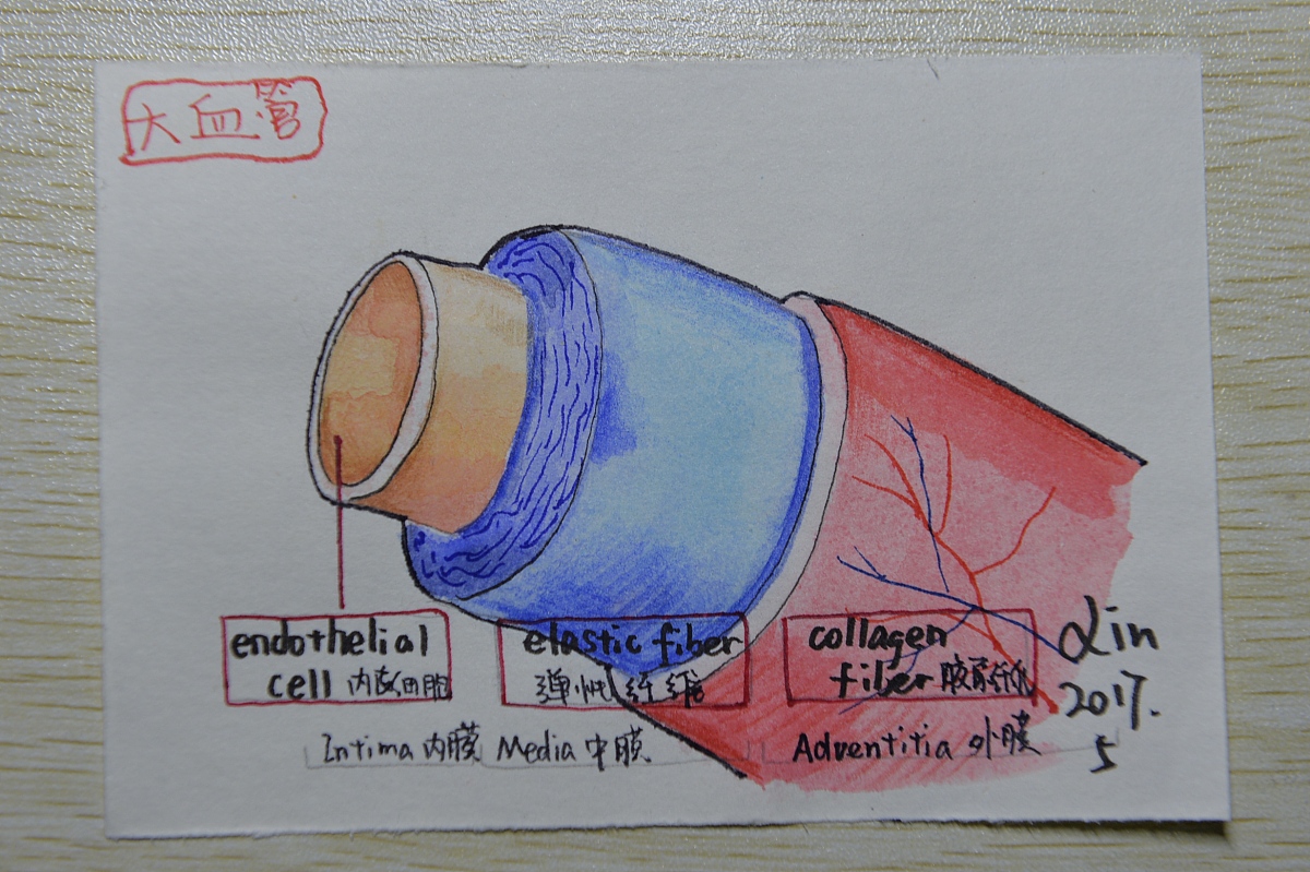 成都中专学校临床医学专业就业前景分析：好找工作吗？