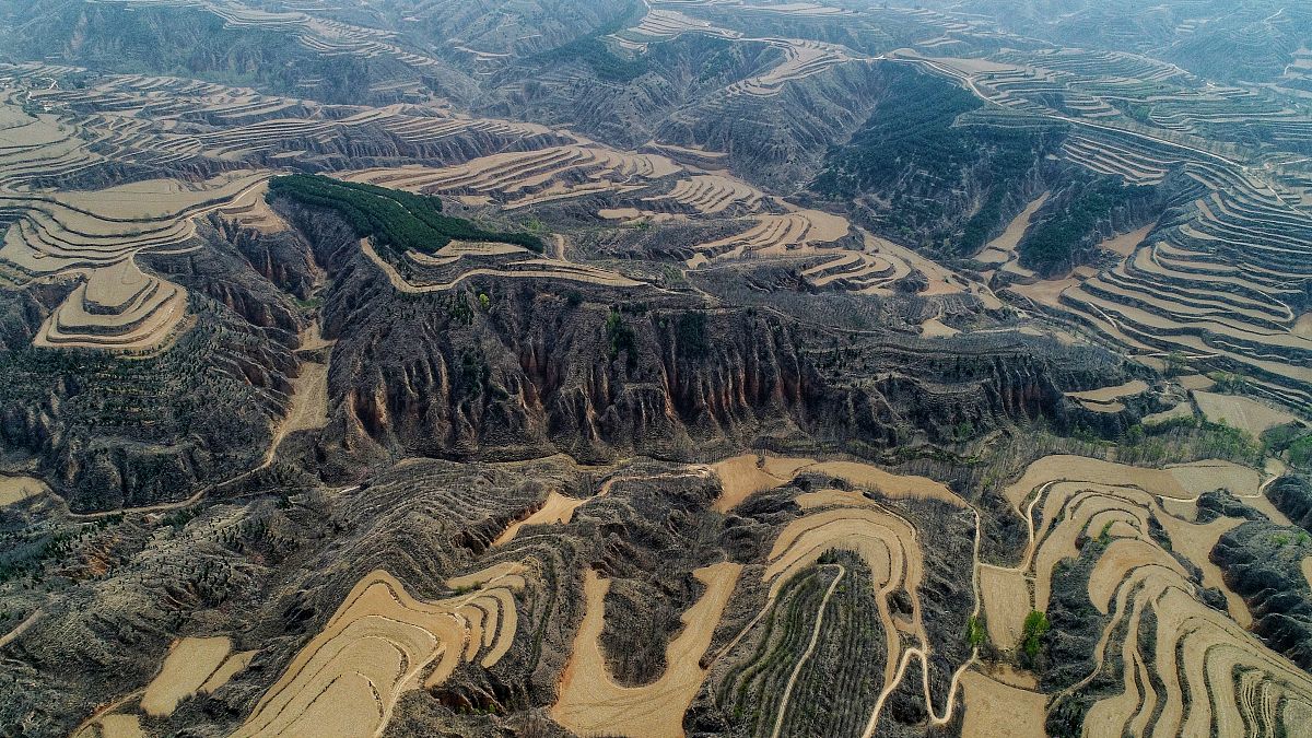 黄土高原：中国最大的高原，独特地貌与脆弱生态