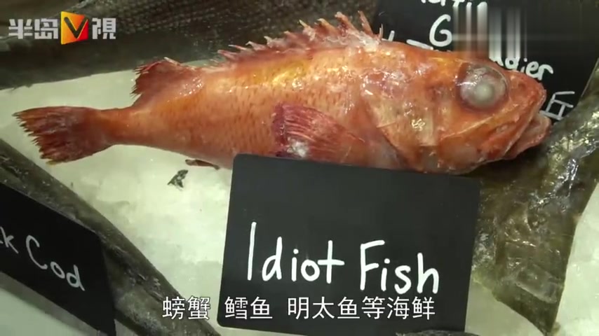 第23届中国渔博会青岛开幕!每年60万吨俄罗斯进口鱼端上市民餐桌