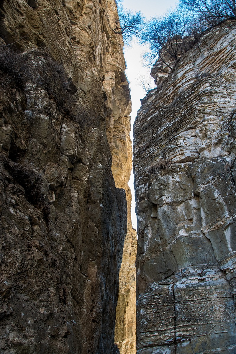 保定手机维修专业学习指南：学校、培训机构、就业机会
