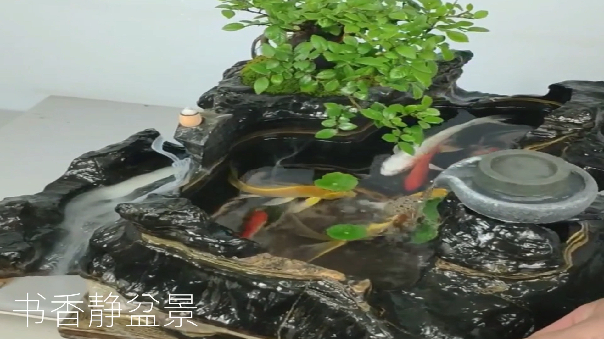 创意制作二合一鱼缸盆景,造型古老优雅,意境不凡!