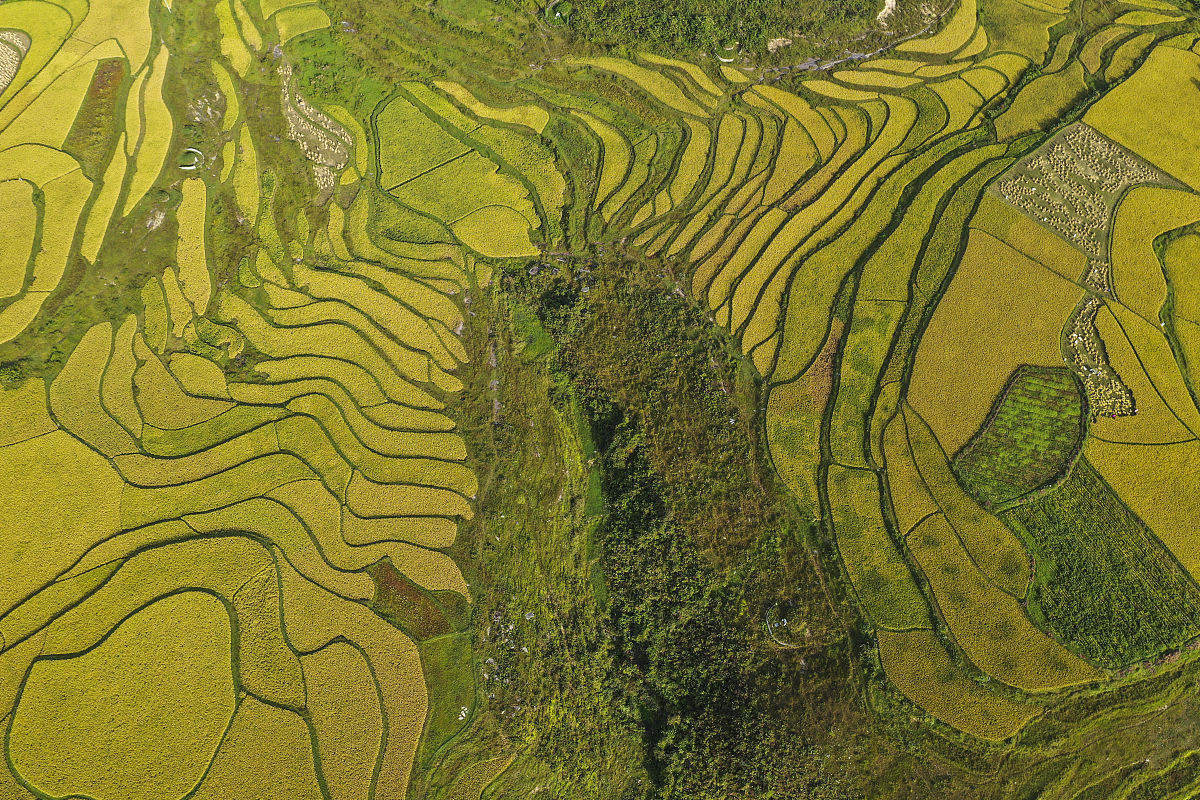 贵阳市幼师职业学校2019年招生要求整理