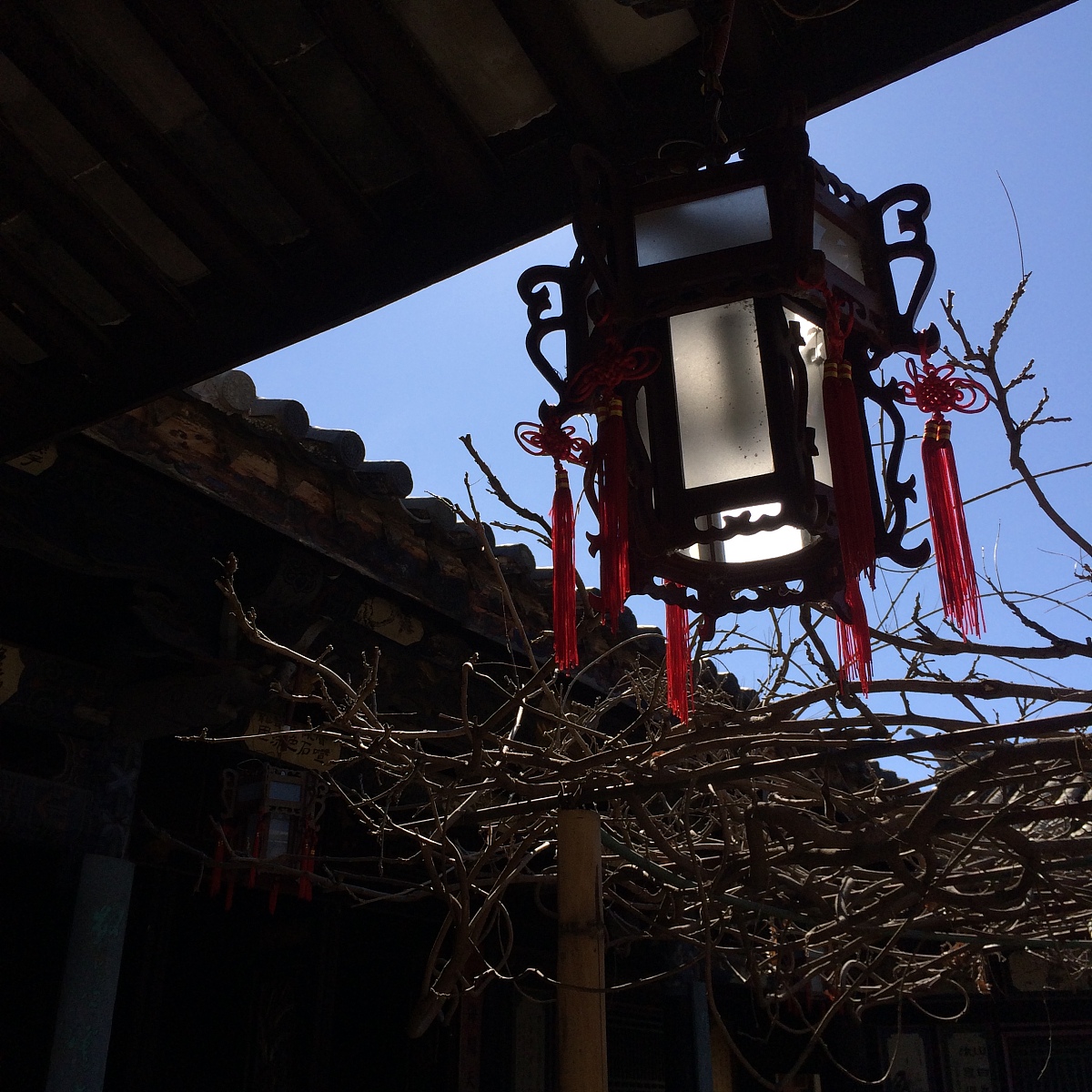 红河学院2019招生简章及计划