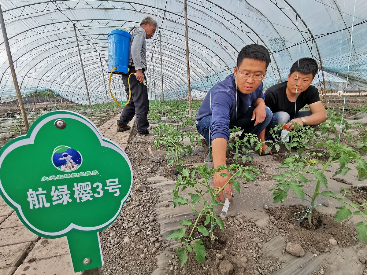 植物保护专业：农业发展和食品安全的守护者