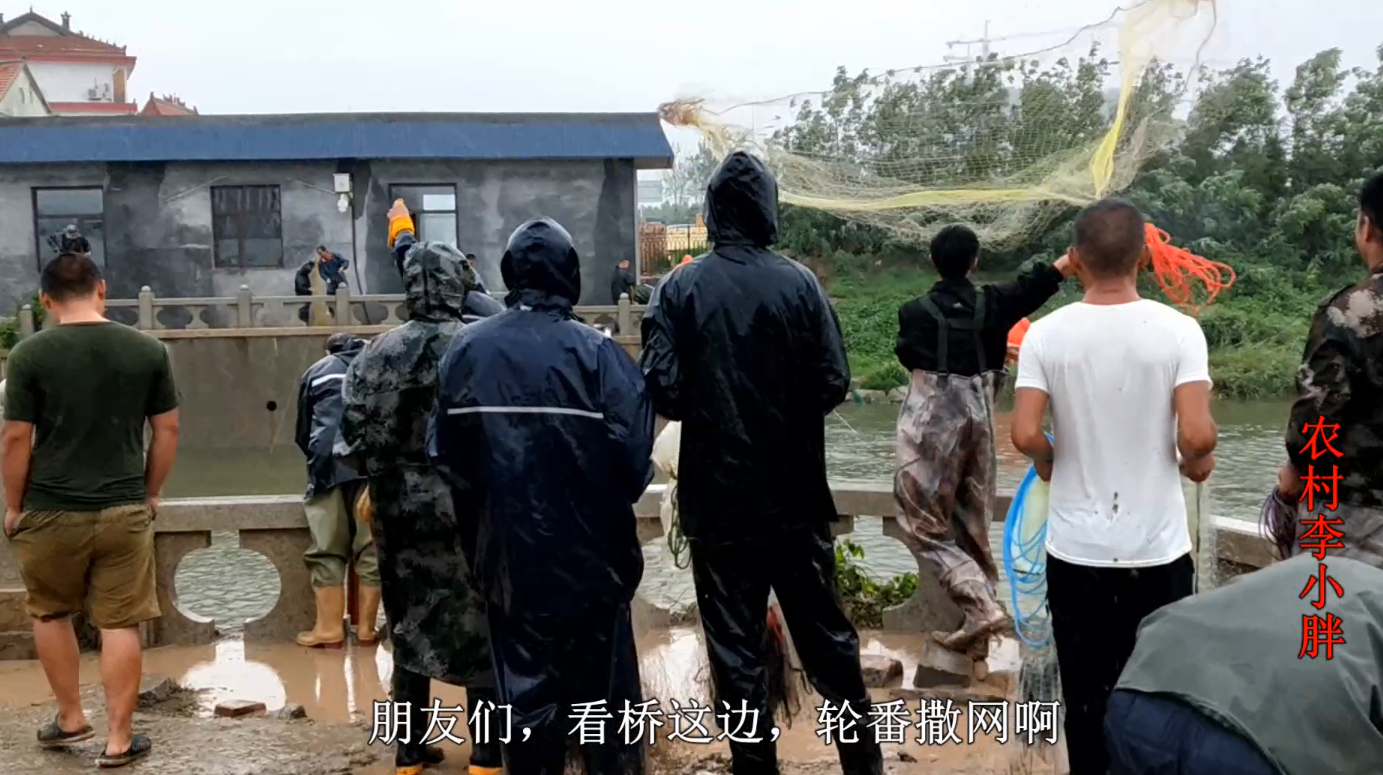 暴雨野河出鱼,桥头站满打鱼高手百十号人,轮番排队撒网真过瘾