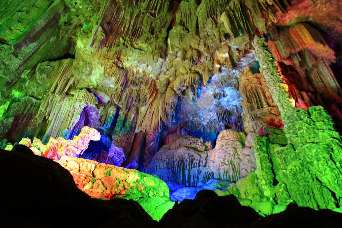 广西桂林农业学校2022年开设了什么专业