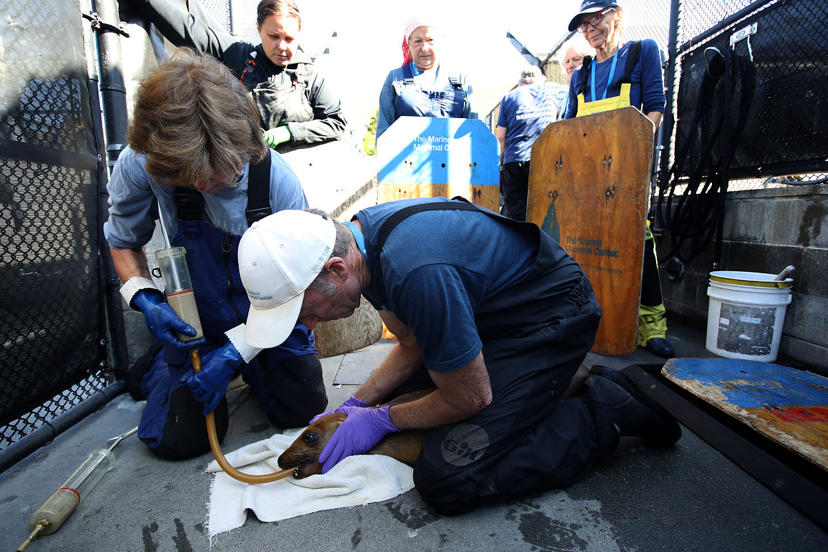 韶关学院医学院2023年新增专业：生物医学工程、康复治疗学等