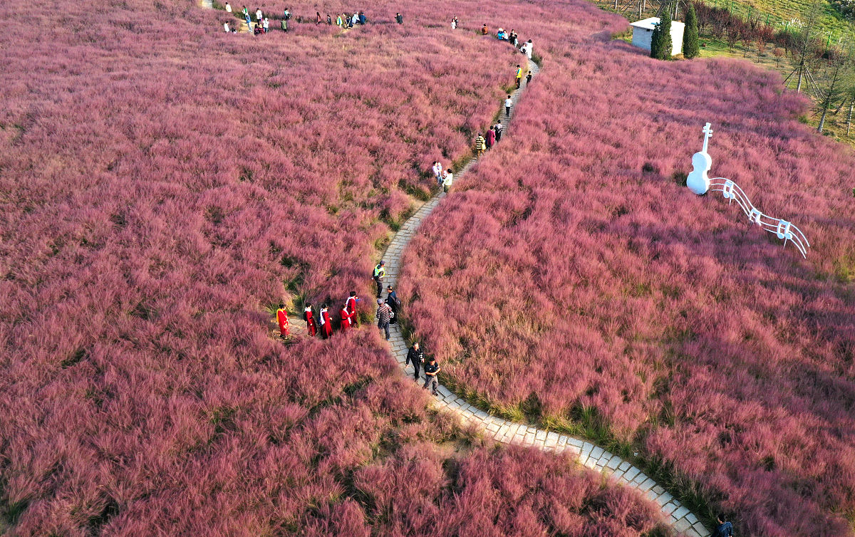 什么季节适合旅游 什么季节适合旅游