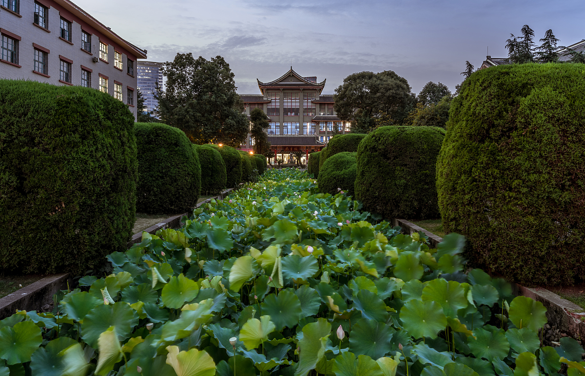 四川2021年什么护理学校就业比较好