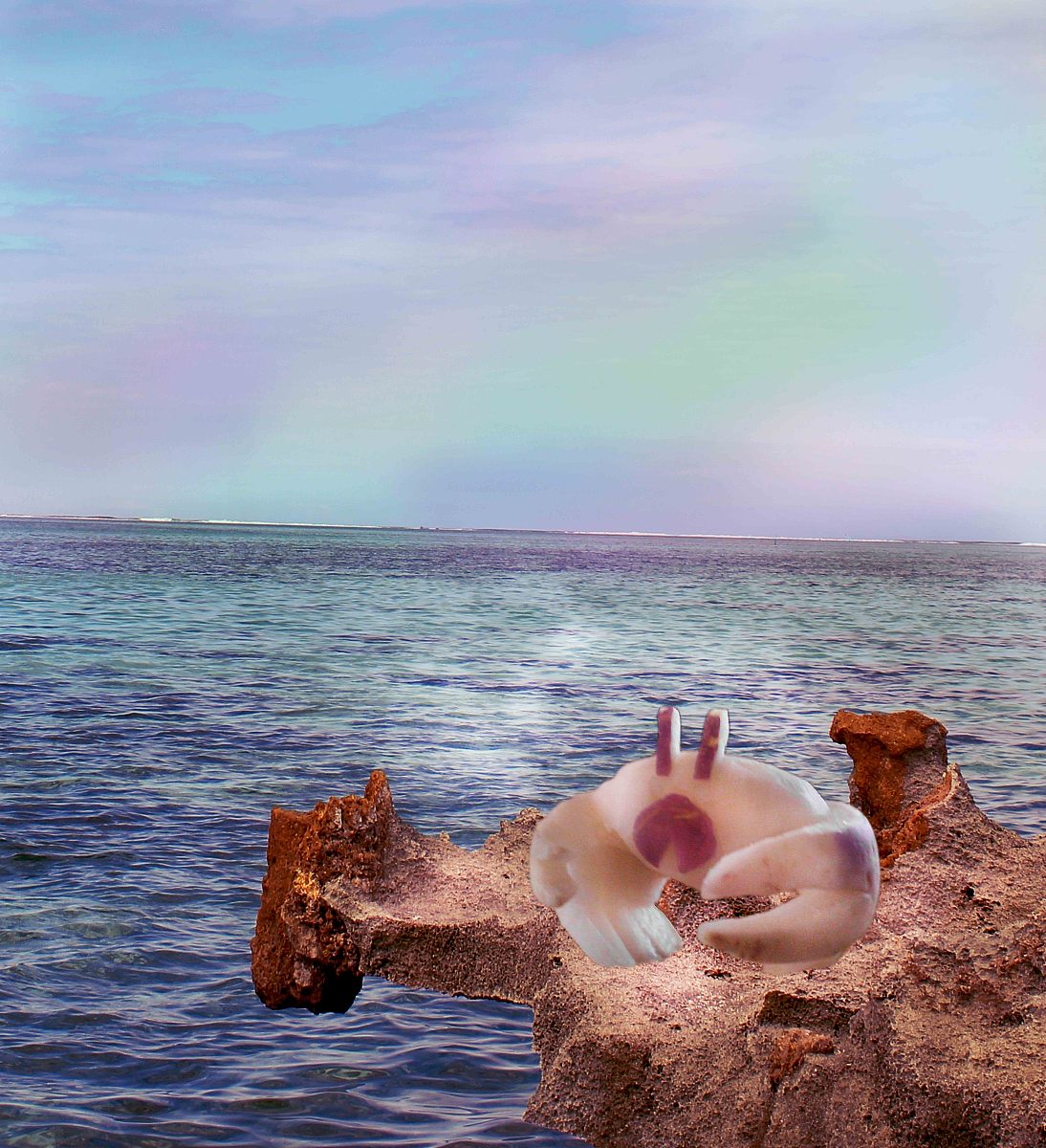 鸭胗脂肪含量高吗？如何控制脂肪摄入？