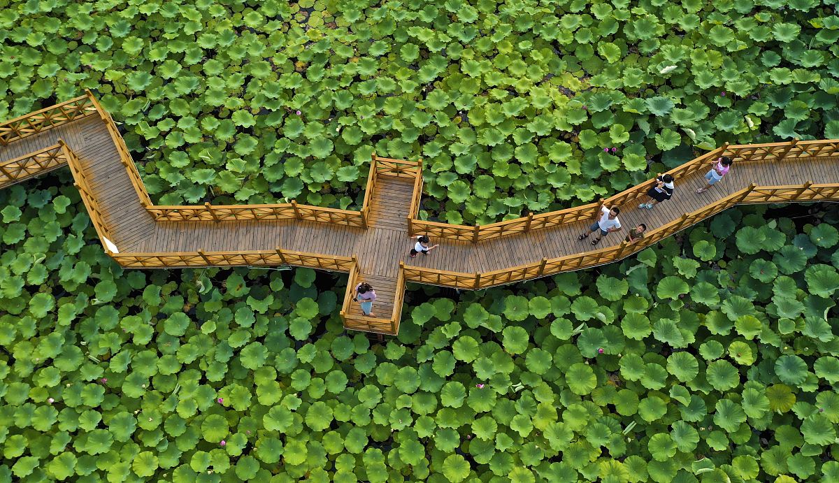 安徽人口职业学院助产专业怎么样？未来发展趋势分析