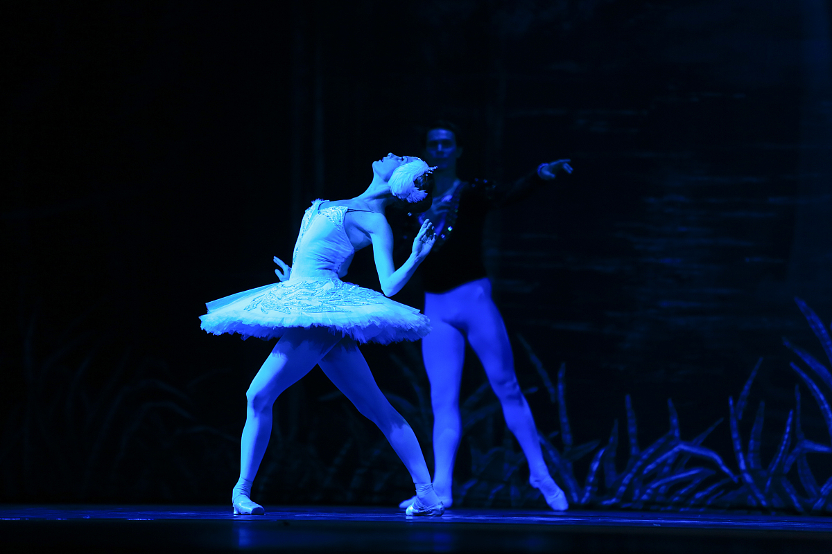 天鹅湖舞剧：音乐与舞蹈的完美结合 - 深入分析