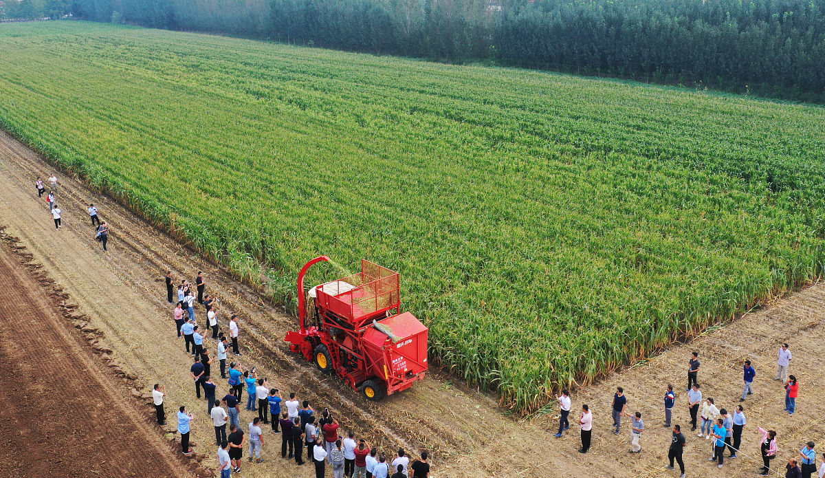 泸西县农业机械化技术学校2021年招生专业：农业机械化、农机维修、水利工程、电气化
