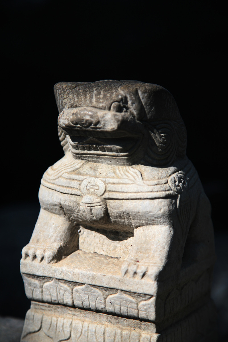 楚雄旅游学校开设专业都有哪些