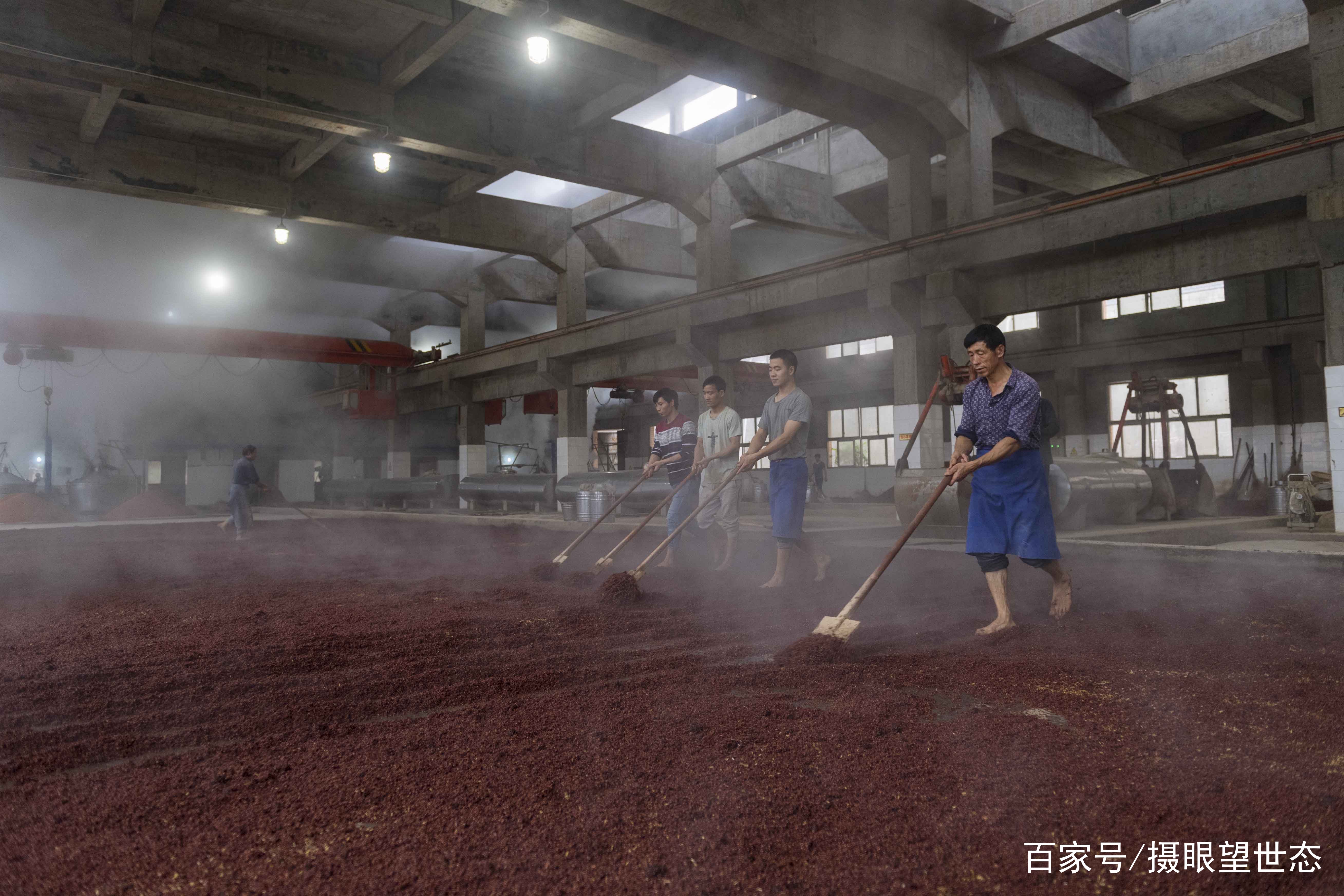 都说茅台镇酱香酒好喝,来看看一粒糯高粱是怎么变成茅台酱香酒的
