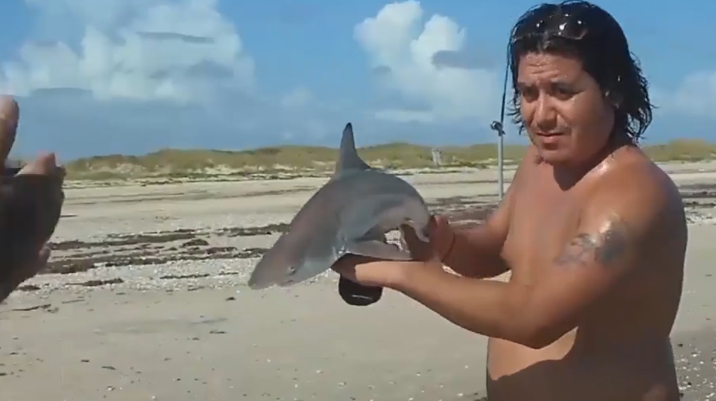 鲨鱼真的对血液敏感?国外小伙大胆测试,没想到鲨鱼不给面子!