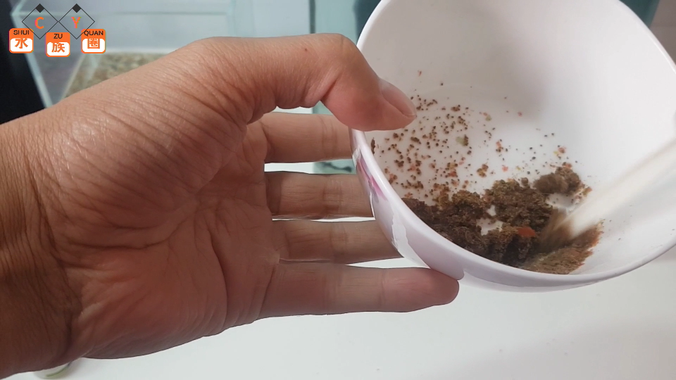 治疗孔雀鱼体内寄生虫试试这个方法!