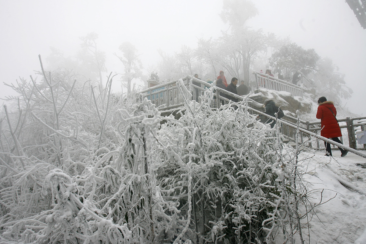 ***_***(湖北武汉媒体严禁下载)2011年1月3日,新年首场大雪过后,张家