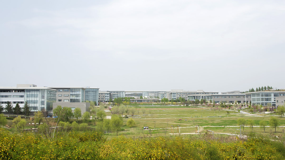 辽宁省内是211和985的大学都有哪些写出全部