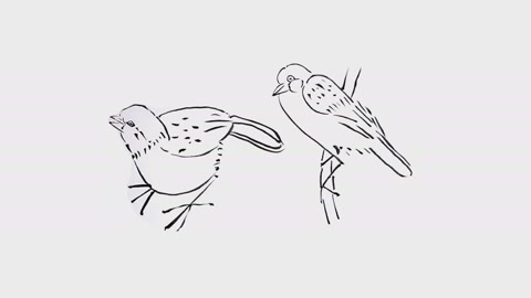 工笔白描,基础学习教程:麻雀的画法「二」